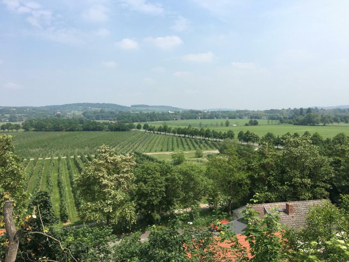 Zum Saaletalblick * Naumburg (Saale)